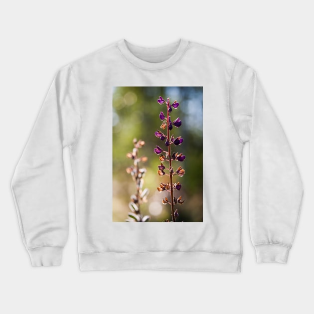 Lupine Crewneck Sweatshirt by ansaharju